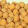 LEGUMBRES - Garbanzos