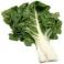 VERDURAS FRESCAS - Acelga