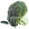 VERDURAS FRESCAS - Brocoli