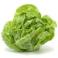 VERDURAS FRESCAS - Lechuga Española