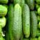 VERDURAS FRESCAS - Pepino Ensalada