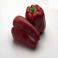 VERDURAS FRESCAS - Pimenton Rojo