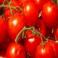 VERDURAS FRESCAS - Tomate
