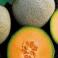 FRUTA FRESCA - Melon Calameño