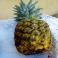 FRUTA FRESCA - Piña Natural