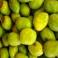 FRUTA FRESCA - Tunas