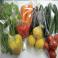 LEGUMBRES - Pack Verduras
